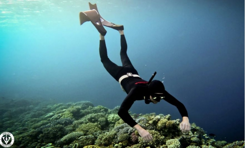 ������ ��������� ��� - ��� �����������